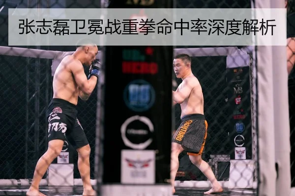 张志磊卫冕战重拳命中率深度解析