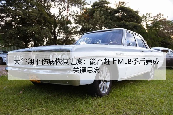大谷翔平伤病恢复进度：能否赶上MLB季后赛成关键悬念