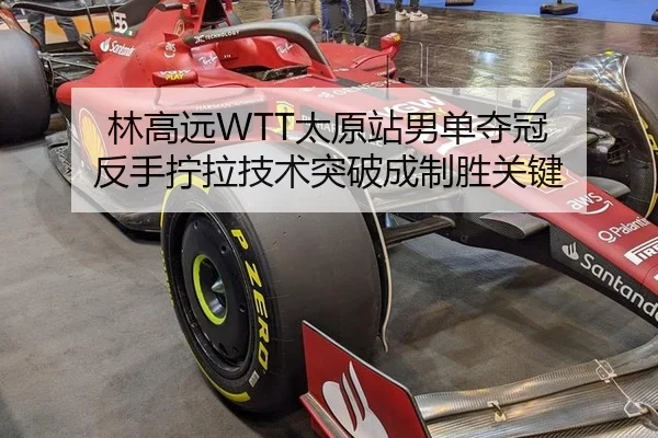 林高远WTT太原站男单夺冠 反手拧拉技术突破成制胜关键