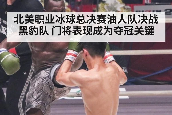 北美职业冰球总决赛油人队决战黑豹队 门将表现成为夺冠关键